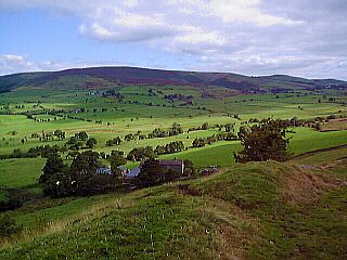 Dry Corner Farm