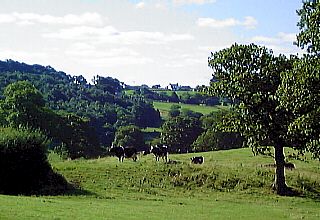 From Whalley Road looking towards Sabden Brook