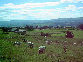 Hameldon Hills