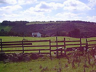 Looking towards Lane Side House