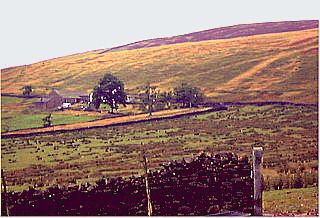 Wilkins Heys