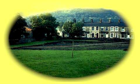 The site