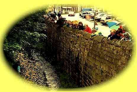 The Duck Race